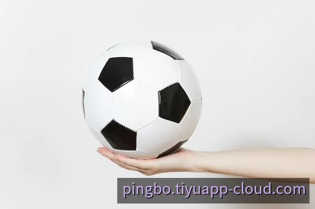 平博App 移动端视觉预览